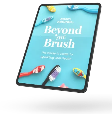 ProvaDent bonus guide Beyond the Brush